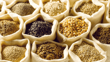 5 Wholegrains That Can Make Your Dog Superhealthy!