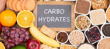 Why are Carbohydrates important for your dog's health?