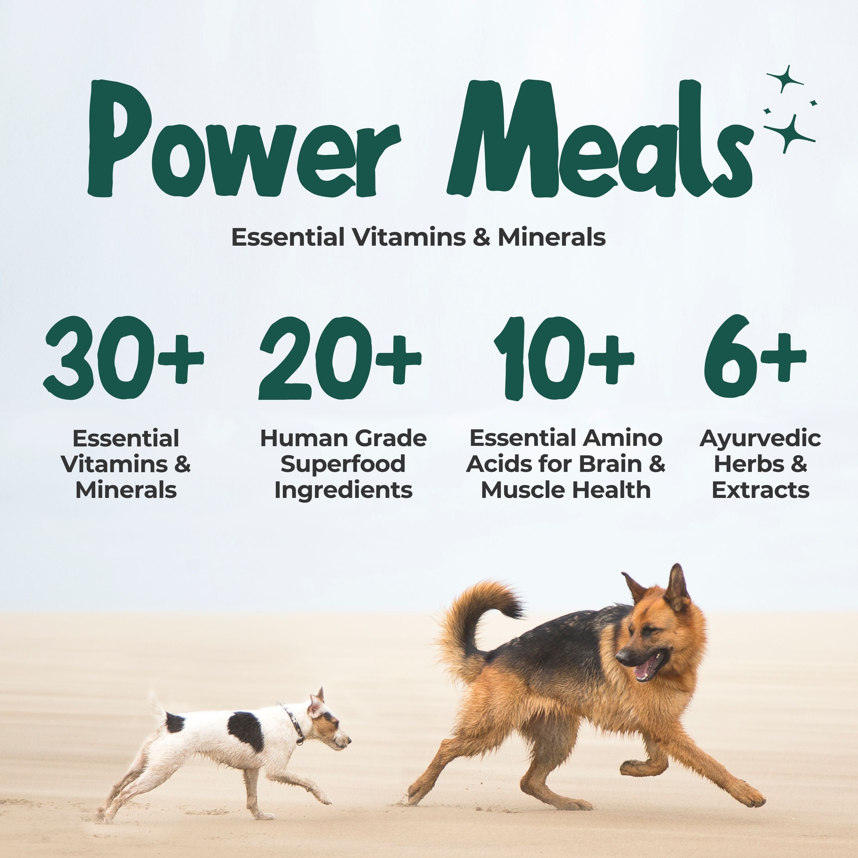 Power Meals 100 Natural Wet Dog Food with Added Vitamins Minerals