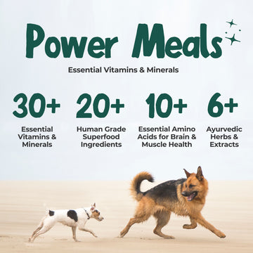 Wet food for dogs Human Grade