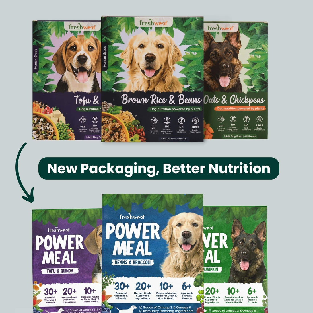 Freshwoof Power Meals | 100% Natural Wet Dog Food with Added Vitamins & Minerals (Beans & Broccoli)